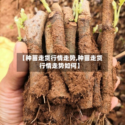 【种苗走货行情走势,种苗走货行情走势如何】-第3张图片