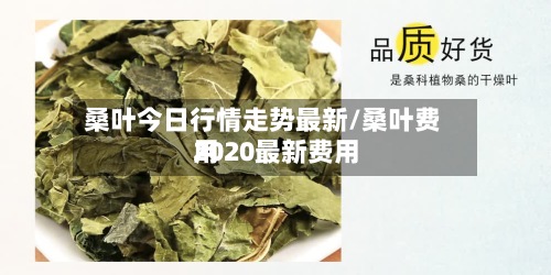 桑叶今日行情走势最新/桑叶费用
2020最新费用