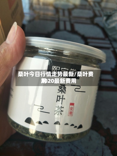 桑叶今日行情走势最新/桑叶费用
2020最新费用
-第2张图片