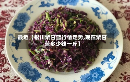 最近【银川紫甘蓝行情走势,现在紫甘蓝多少钱一斤】-第2张图片