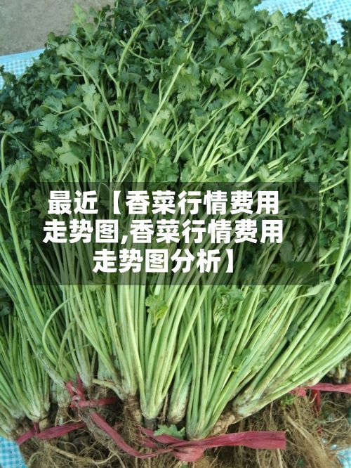 最近【香菜行情费用
走势图,香菜行情费用
走势图分析】
