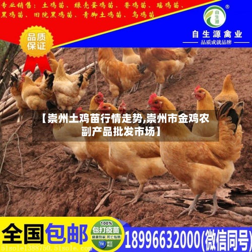 【崇州土鸡苗行情走势,崇州市金鸡农副产品批发市场】