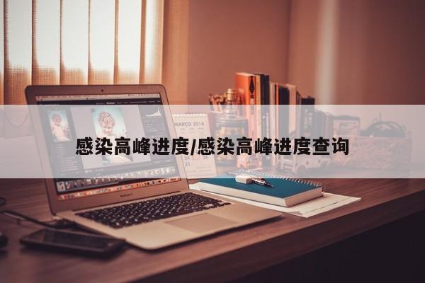 感染高峰进度/感染高峰进度查询