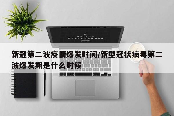 新冠第二波疫情爆发时间/新型冠状病毒第二波爆发期是什么时候