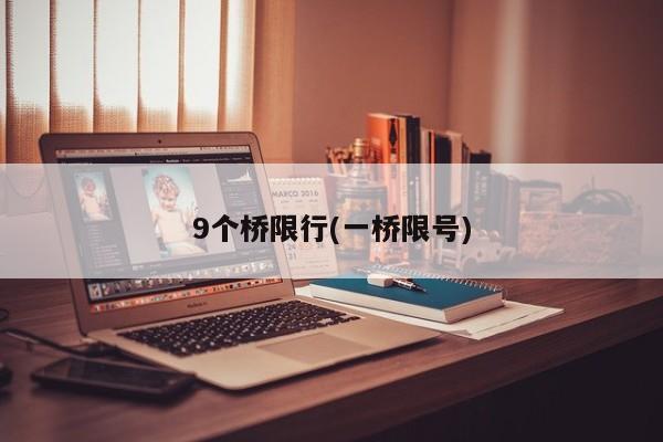 9个桥限行(一桥限号)