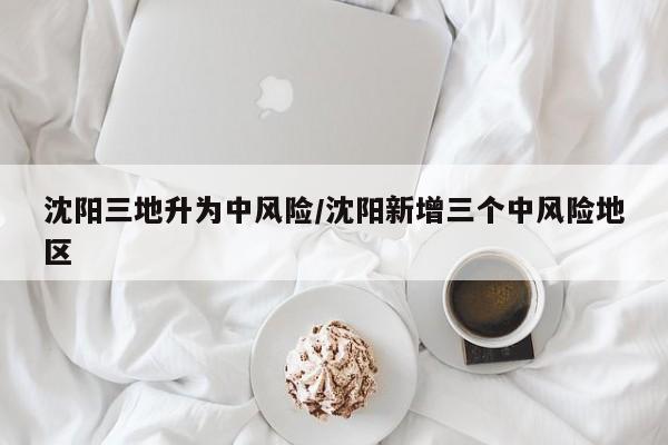 沈阳三地升为中风险/沈阳新增三个中风险地区