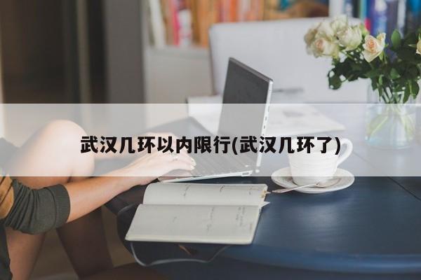 武汉几环以内限行(武汉几环了)
