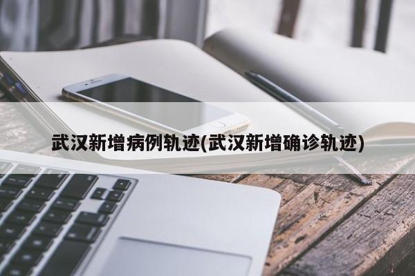 武汉新增病例轨迹(武汉新增确诊轨迹)